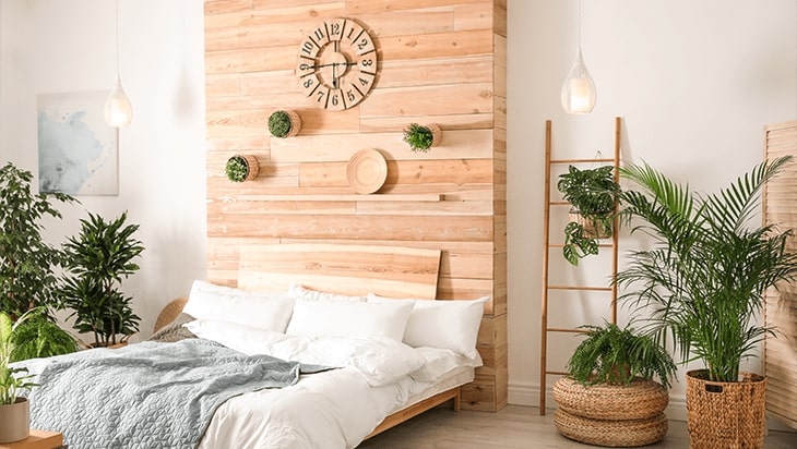 Rénovation écologique conseils