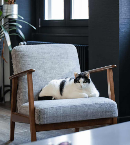 Rénovation appartement parisien